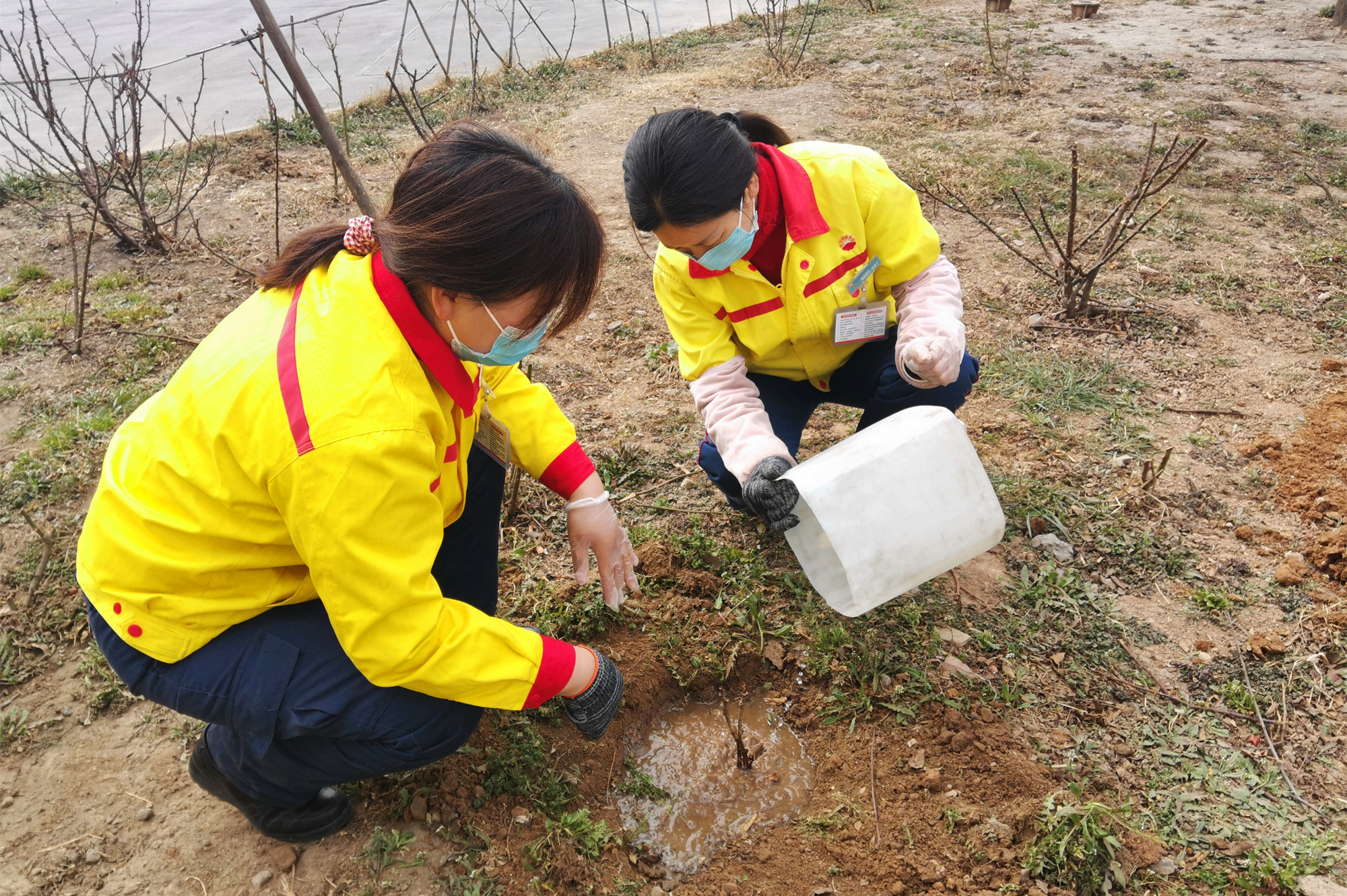 植樹節(jié).jpg